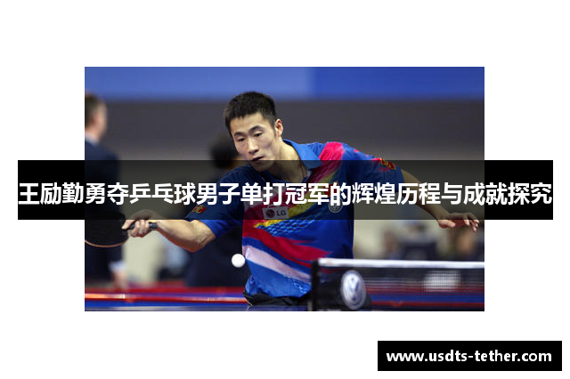 王励勤勇夺乒乓球男子单打冠军的辉煌历程与成就探究 王励勤勇夺乒乓球男子单打冠军的辉煌历程与成就探究