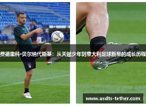费德里科·贝尔纳代斯基:从天赋少年到意大利足球新星的成长历程 费德里科·贝尔纳代斯基:从天赋少年到意大利足球新星的成长历程